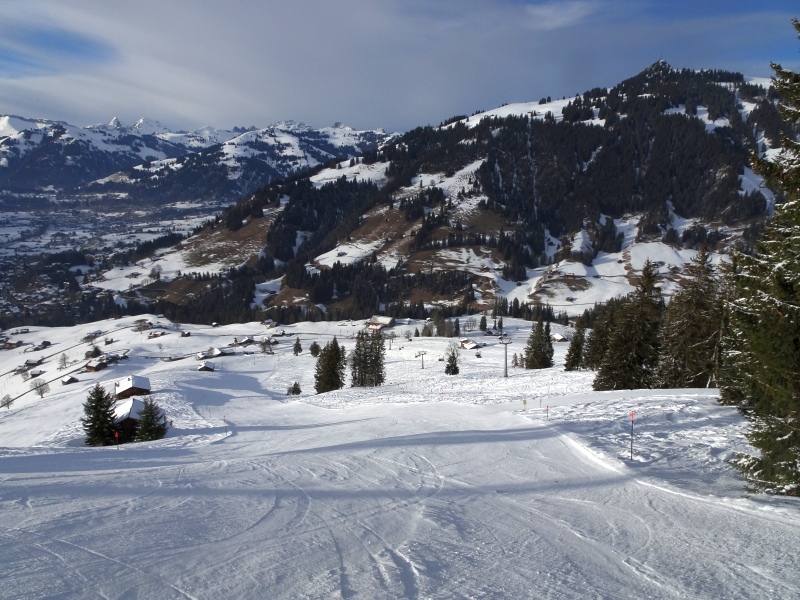 dsc04255fxuff.jpg