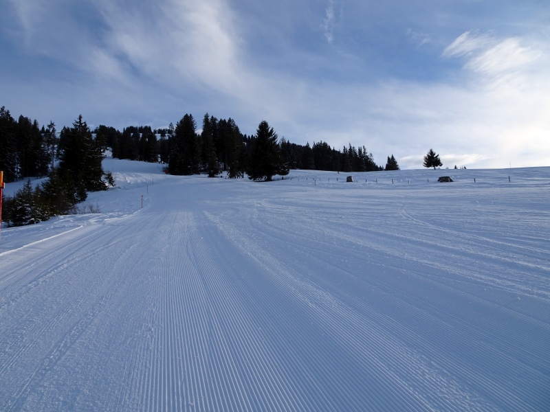 dsc04264r4u9u.jpg
