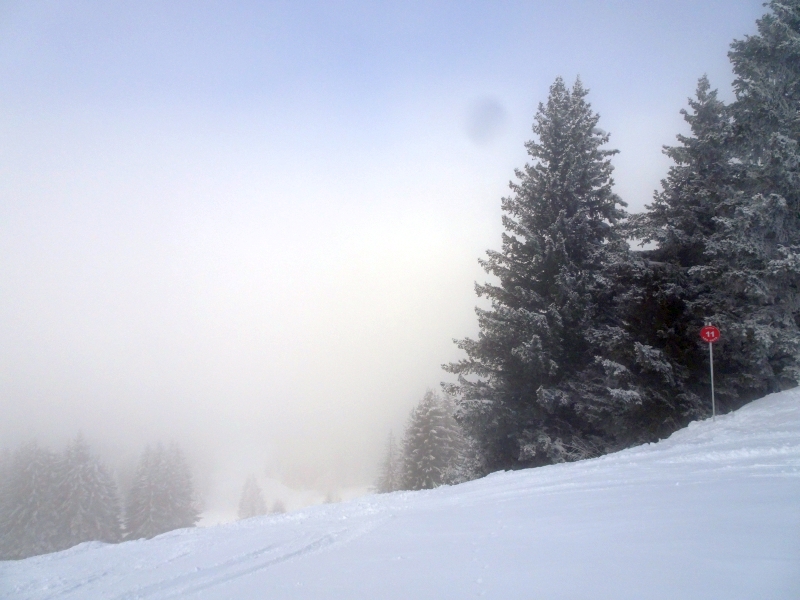 dsc0427029fc3.jpg