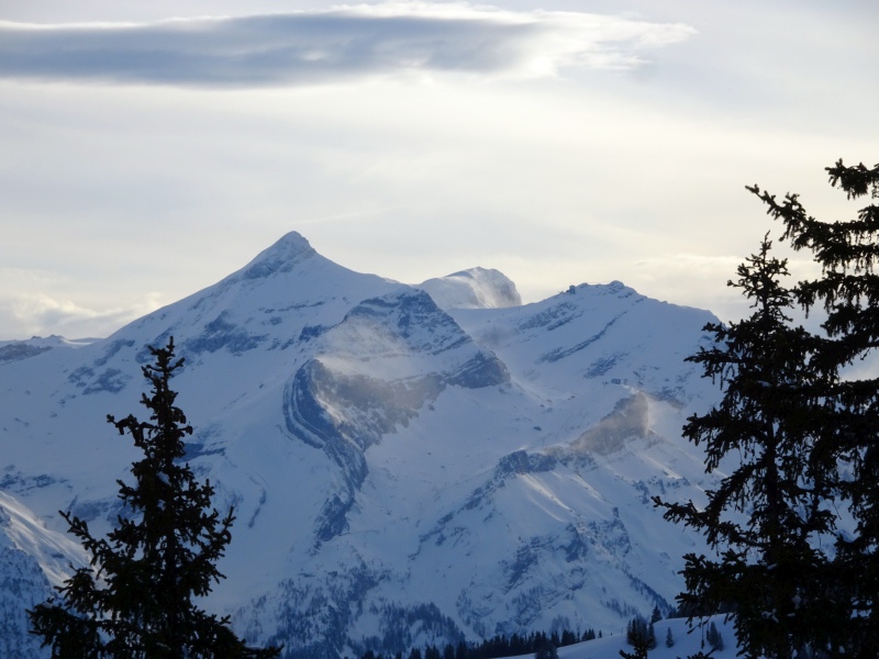 dsc04273n0u0r.jpg