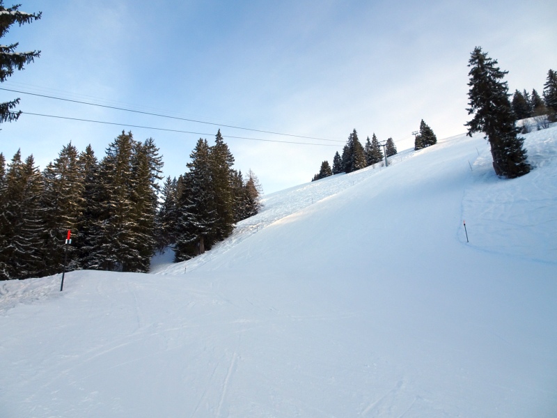 dsc0430569u74.jpg