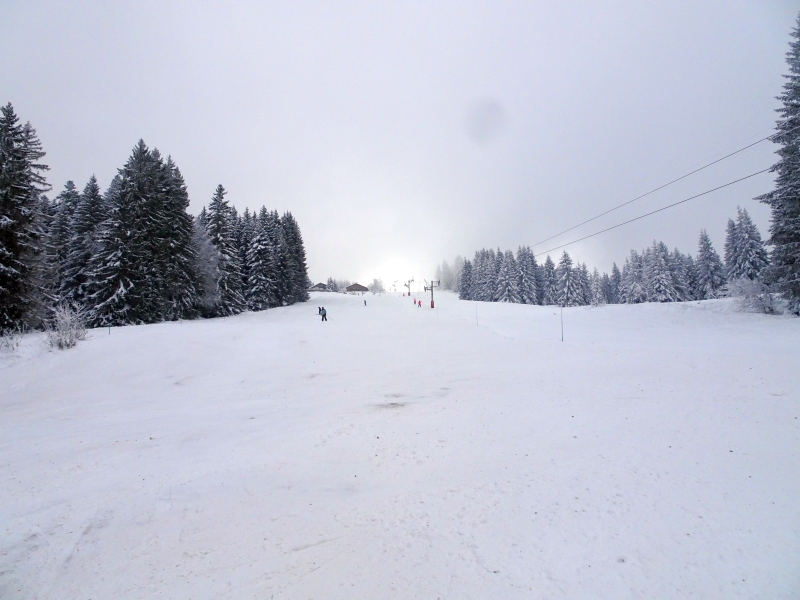 dsc043087ne6d.jpg