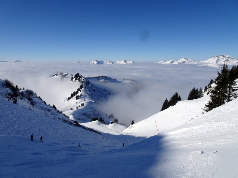 dsc04391lvfwf.jpg