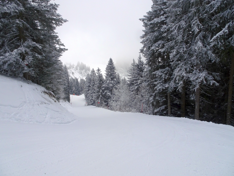 dsc04463q7inj.jpg