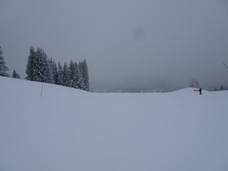 dsc04551kdek7.jpg