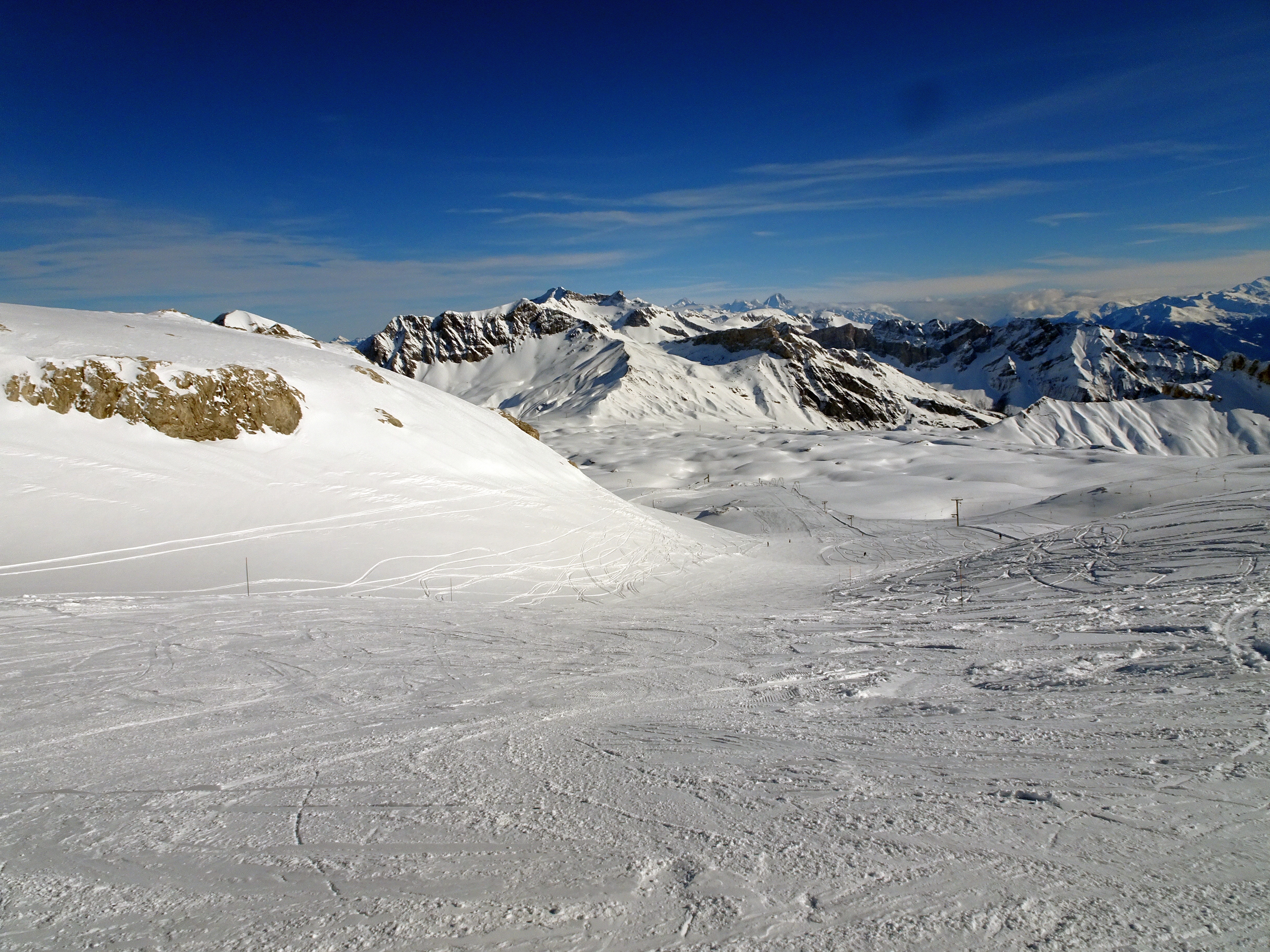 dsc04583mer8l.jpg