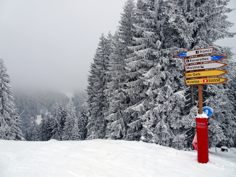 dsc04588gxfoy.jpg
