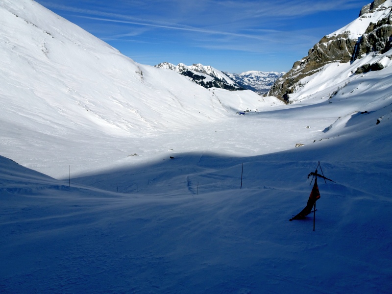 dsc046392qprx.jpg