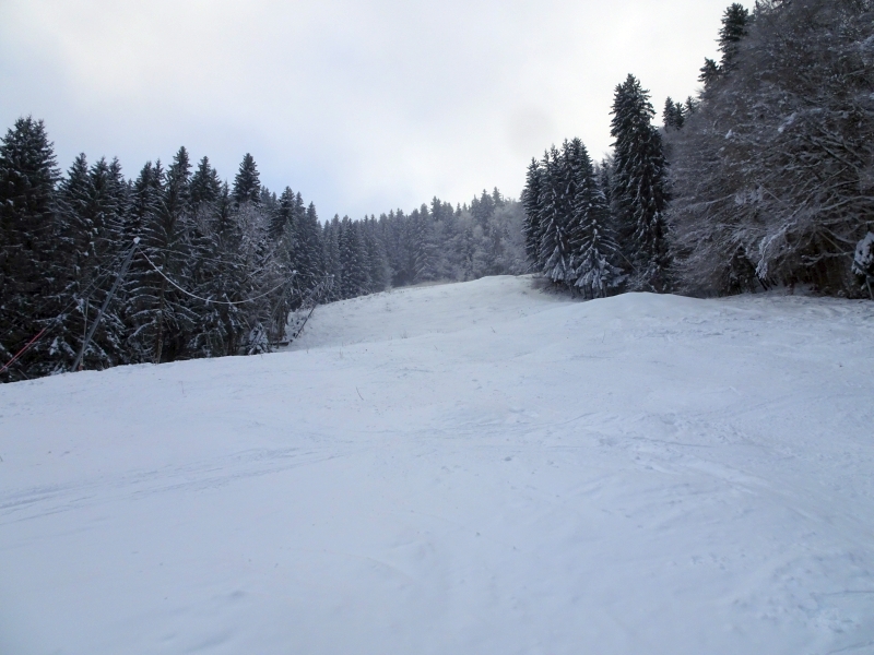 dsc04746igiv8.jpg