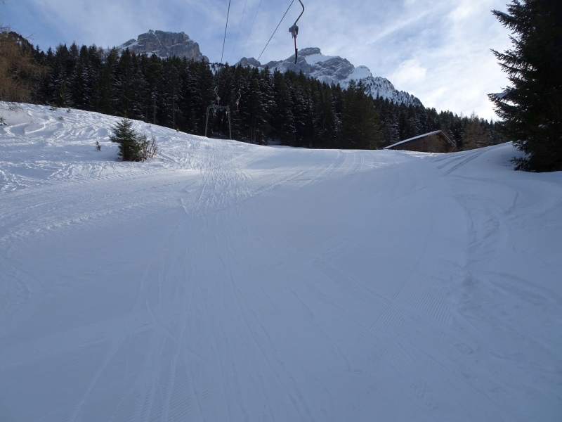dsc047884wso5.jpg
