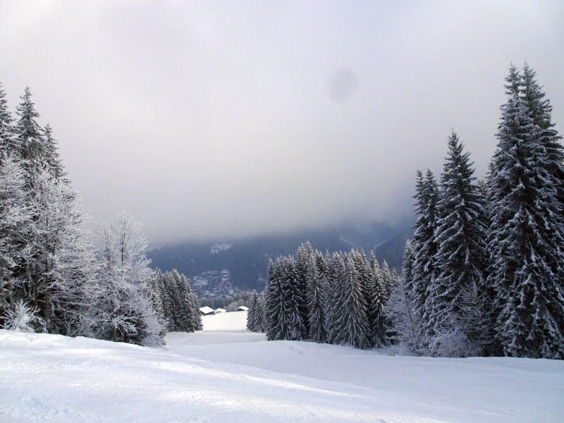 dsc04830xvcm8.jpg