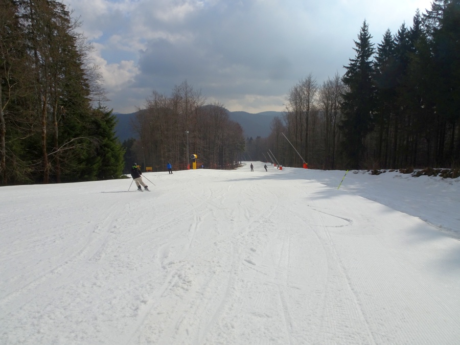 dsc048532wjbs.jpg