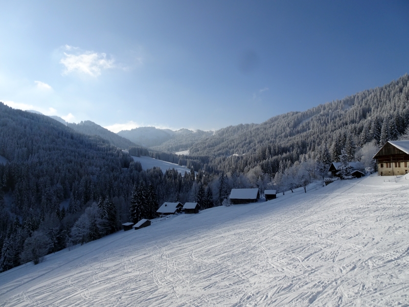 dsc04860ync5o.jpg
