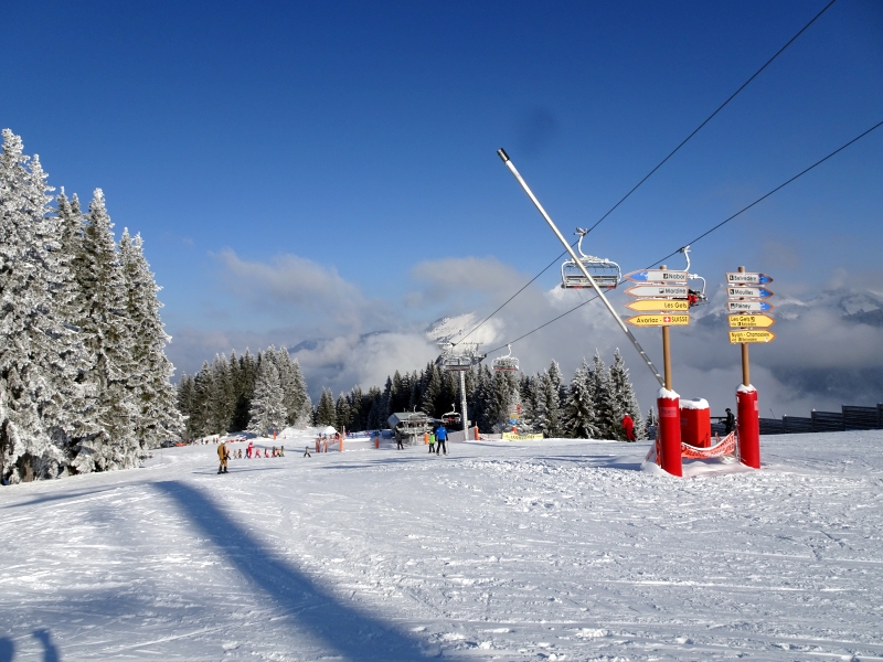 dsc048844vfs1.jpg