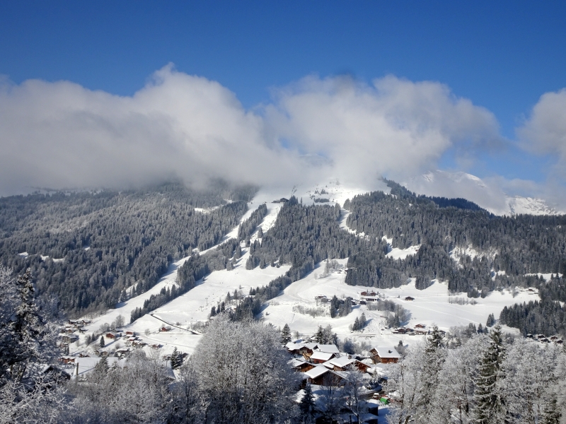 dsc04902hxitz.jpg
