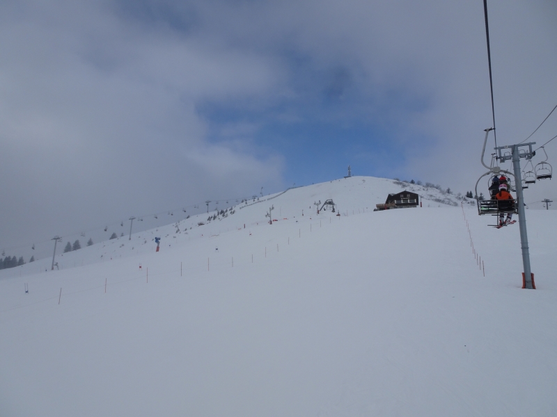 dsc04977chcd7.jpg