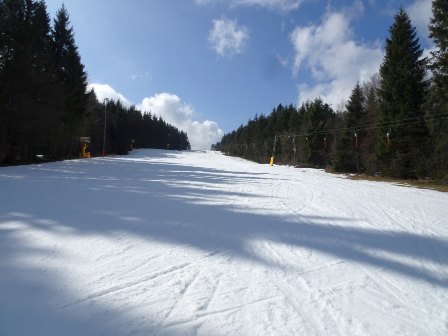 dsc05039sejsc.jpg