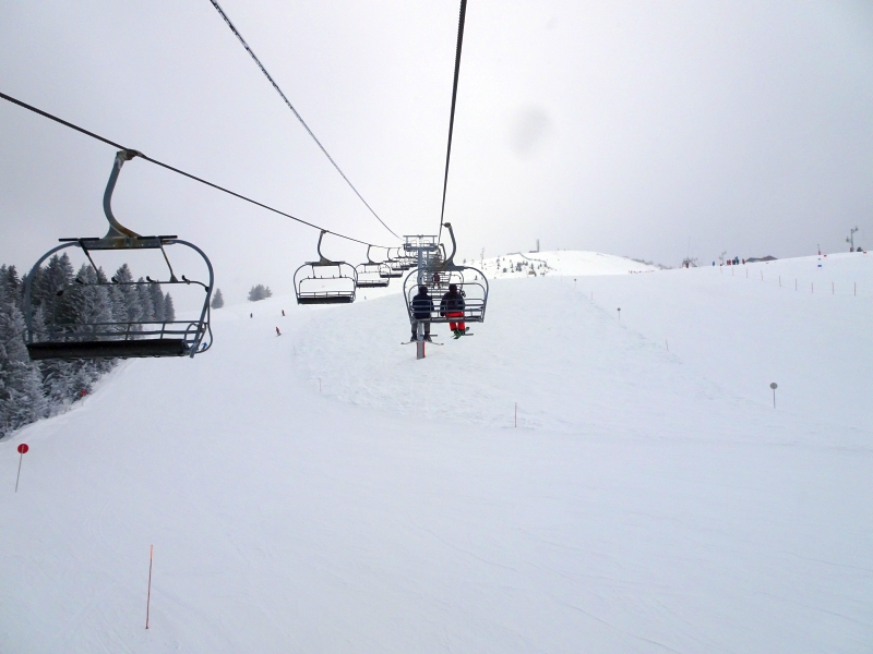 dsc05075xtcds.jpg