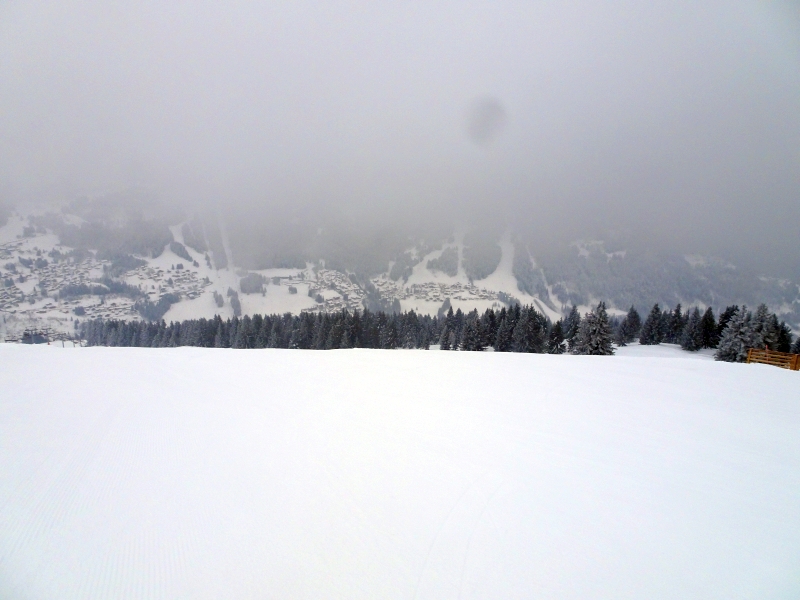 dsc05099mnczi.jpg