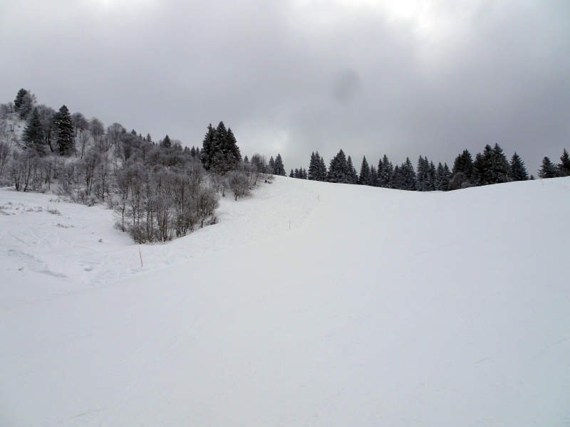 dsc05144qpeft.jpg