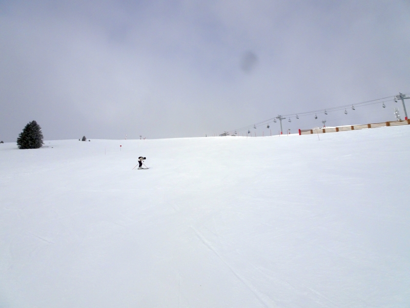 dsc05171ehi87.jpg