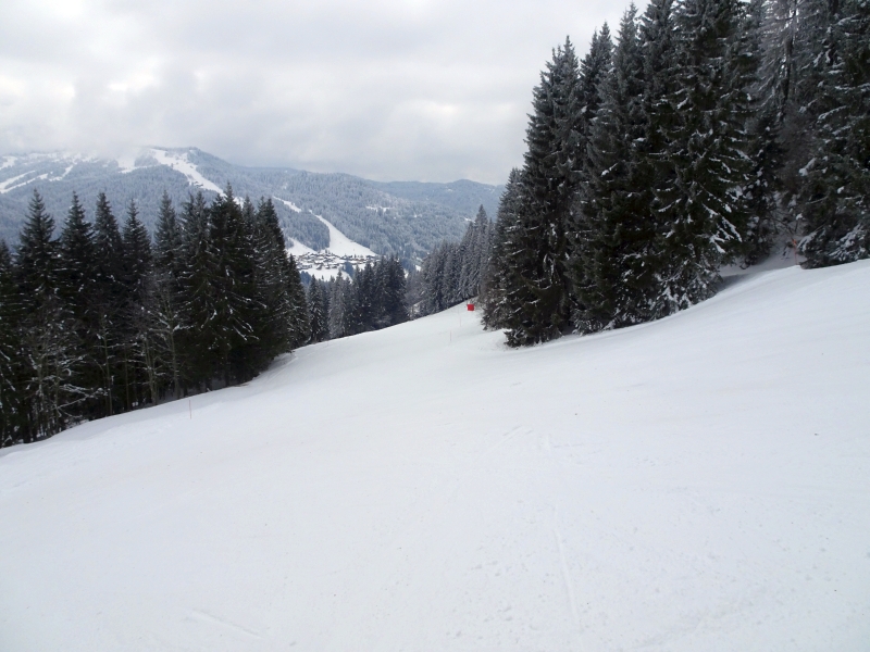 dsc05182nncvj.jpg