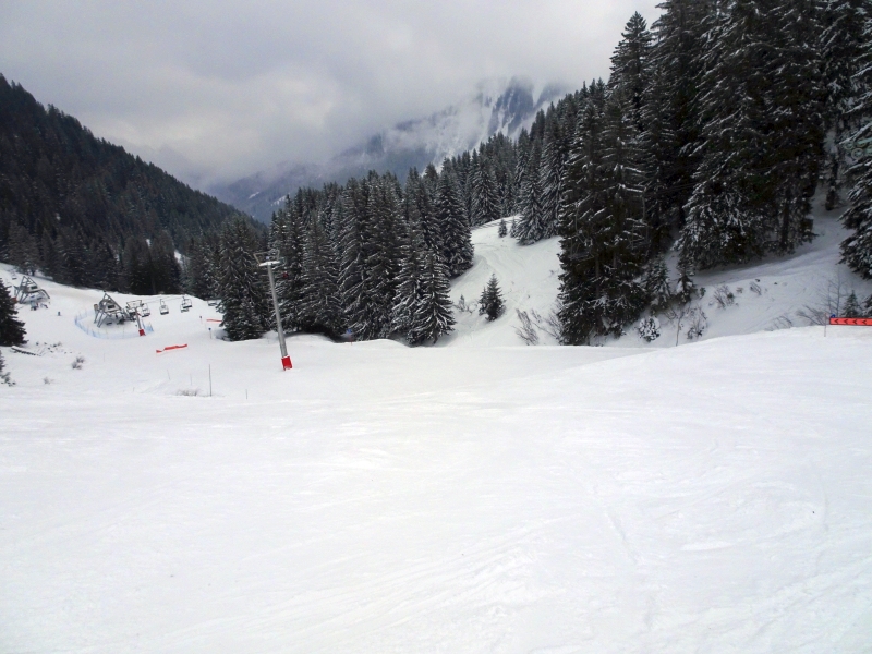 dsc052697pc3q.jpg