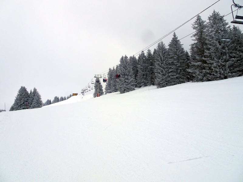 dsc053067qfwc.jpg