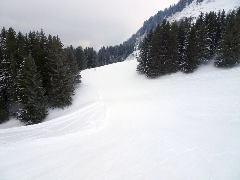 dsc05310wsimk.jpg