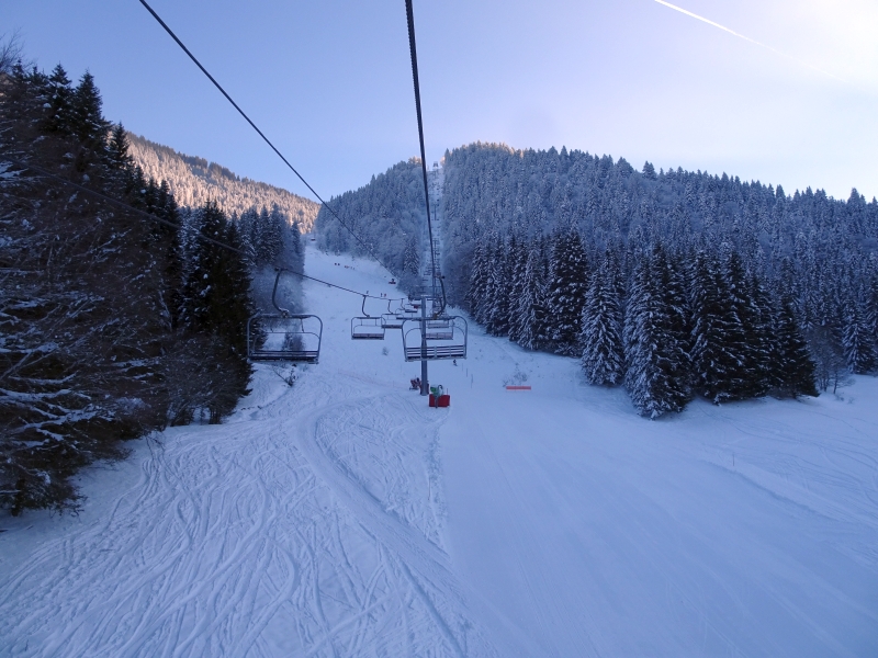 dsc05611ikic8.jpg