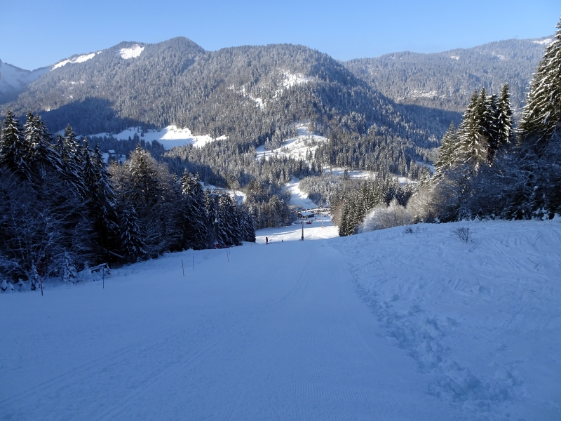 dsc05686uxf8y.jpg