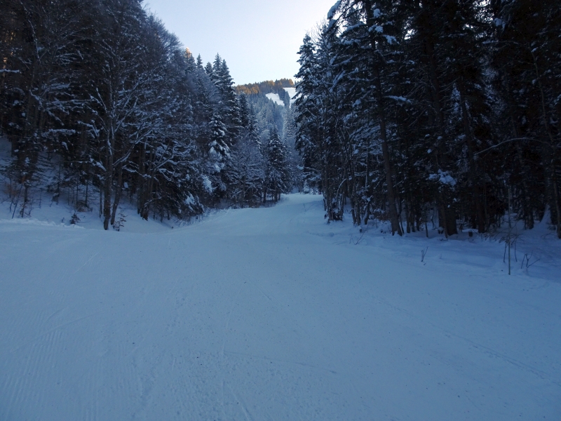 dsc05698z8d8g.jpg