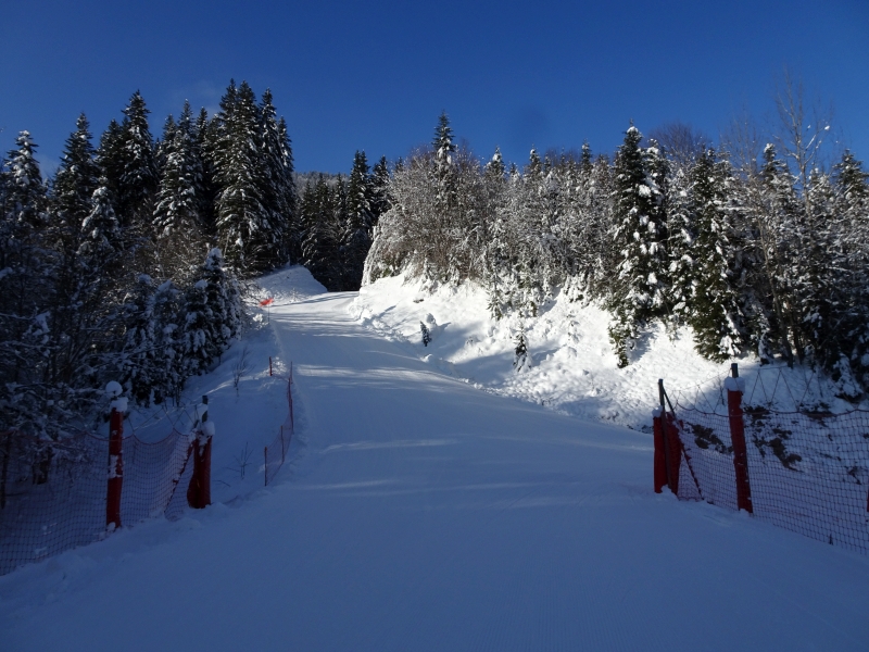 dsc0570649fk7.jpg