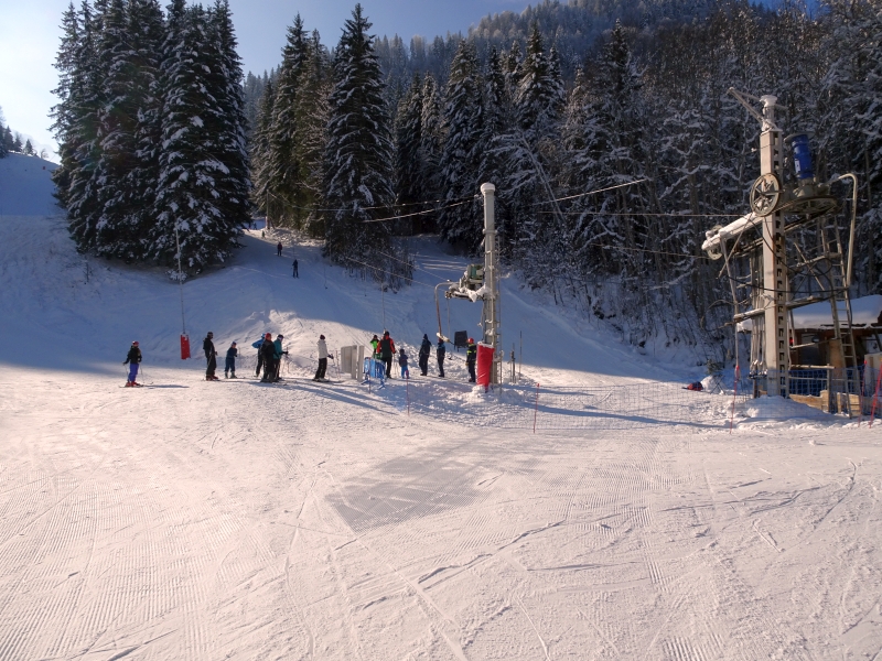 dsc05751bzfld.jpg