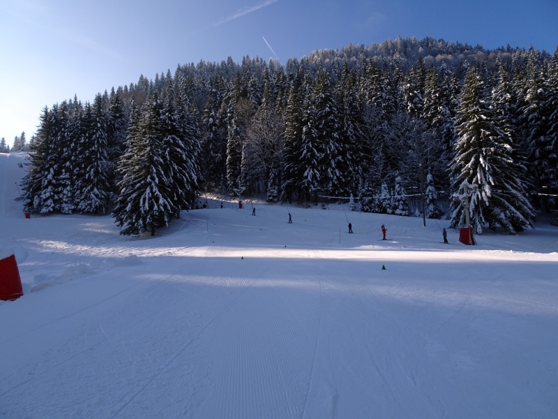 dsc05775t2irf.jpg