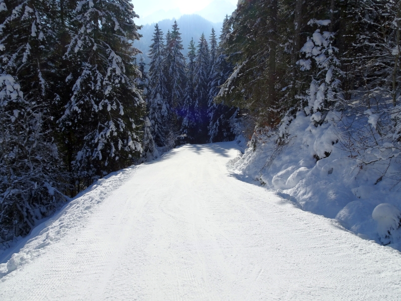dsc05821l3dco.jpg