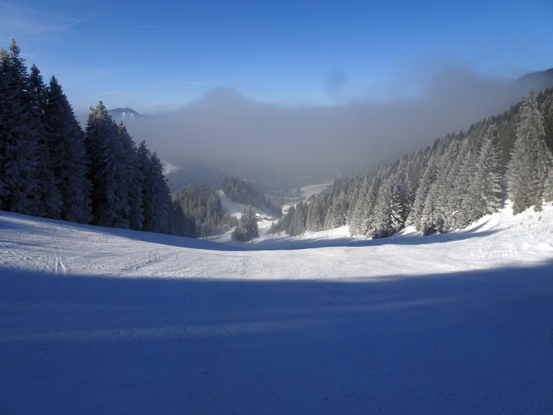 dsc058289ydzd.jpg