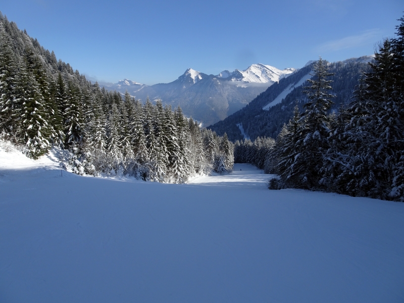 dsc0584428dpc.jpg