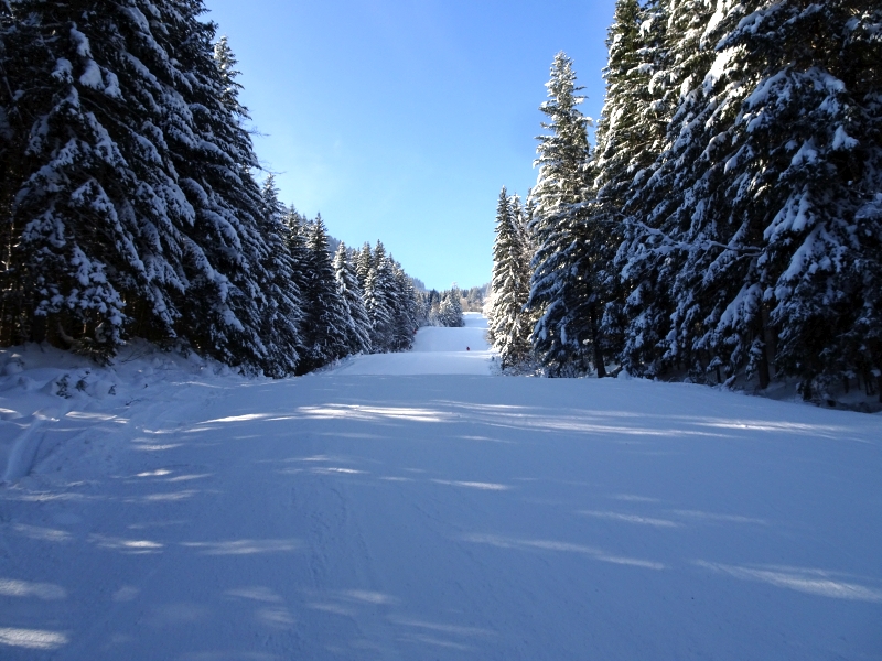 dsc05845ccdes.jpg