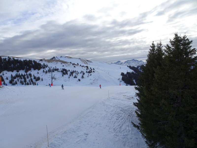 dsc0594400itw.jpg