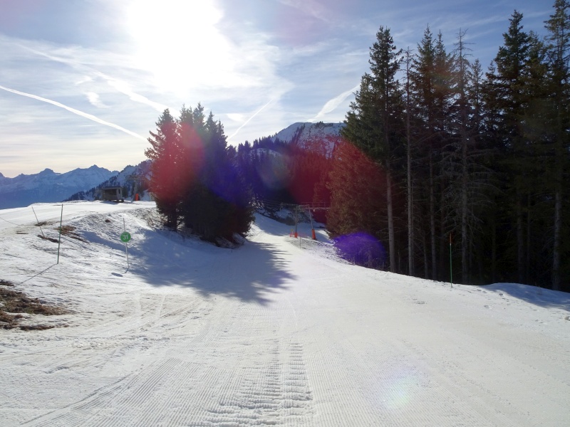 dsc06163ese4u.jpg