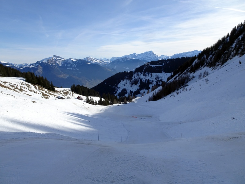 dsc06172d1i9g.jpg
