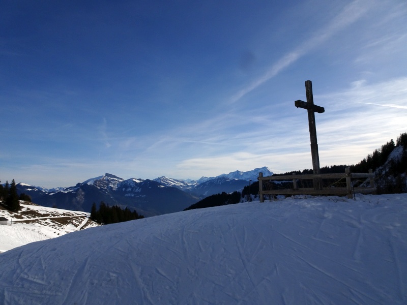 dsc061766zfsq.jpg