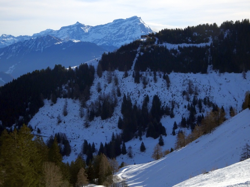 dsc061811fcqg.jpg