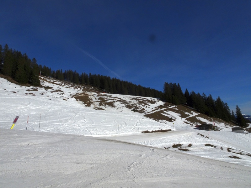 dsc06183r2ixw.jpg