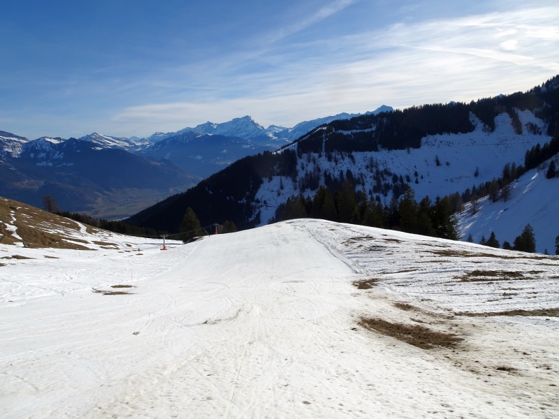 dsc06217d8d0y.jpg