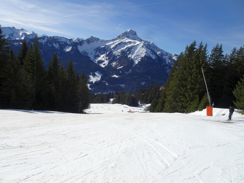dsc06300dkdq4.jpg