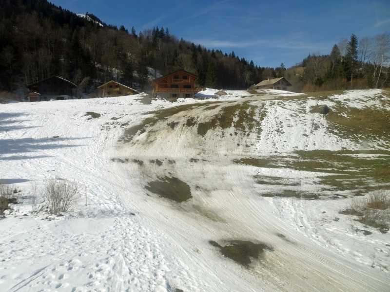 dsc06329o9ipp.jpg