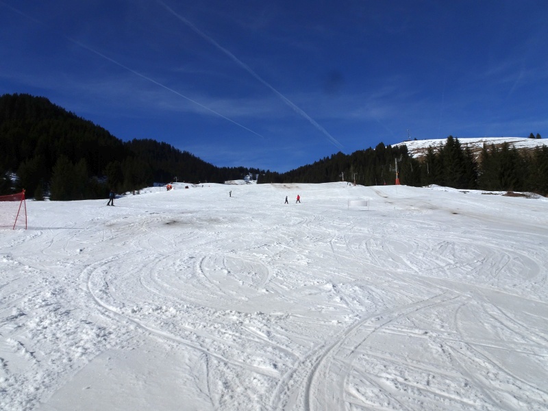 dsc06391gafm0.jpg