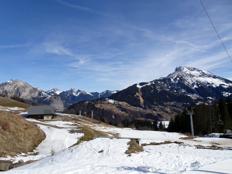 dsc06400f5c5l.jpg